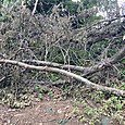 Img_7521