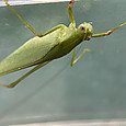 Img_4883