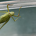 Img_4885