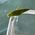Img_4890