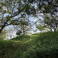 Img_7533