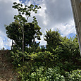 Img_7540