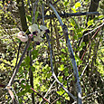 Img_7954