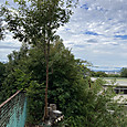 Img_7930