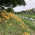 Img_8059
