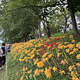 Img_8061