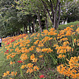 Img_8062