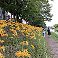 Img_8071
