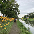Img_8072