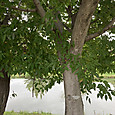 Img_8073