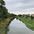 Img_8074
