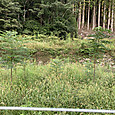 Img_8080