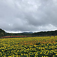 Img_8092