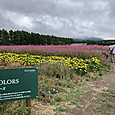 Img_8093