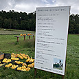 Img_8096