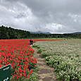 Img_8099