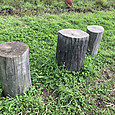 Img_8105