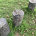 Img_8107