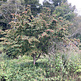 Img_8122