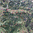 Img_8123