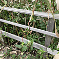 Img_8160