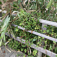 Img_8162