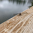 Img_8169