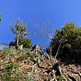 Img_8465